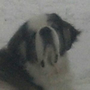 Meet your Posher, Marian